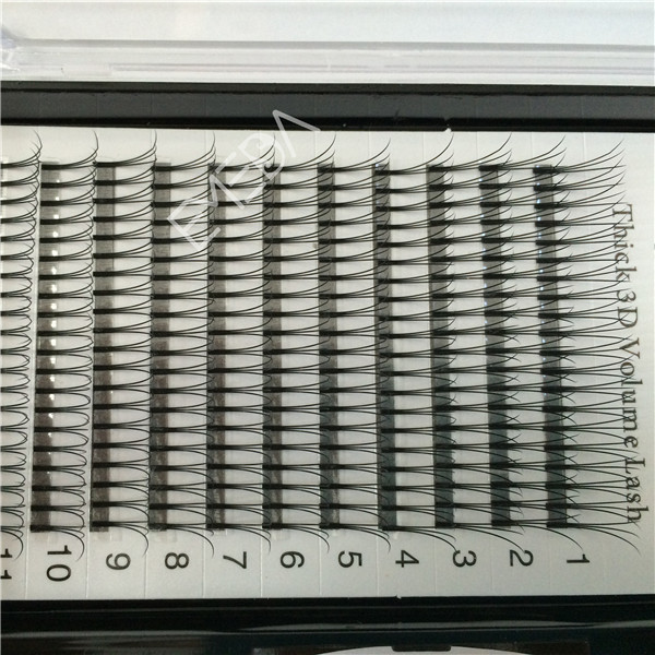 Fast Shipping Eyelash Extensions Brisbane EL60